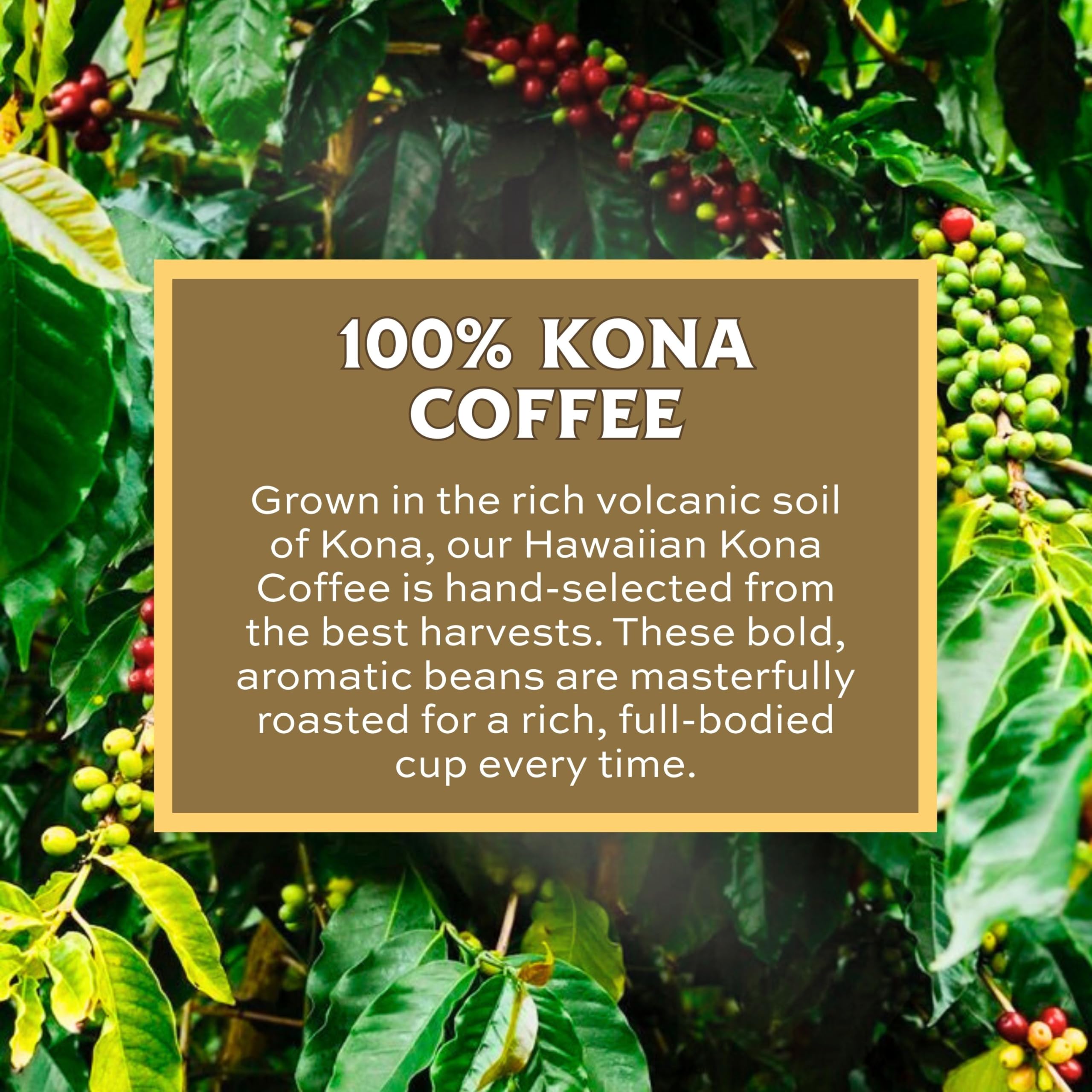 Amazon | ハワイコナ100% 24キャラット(粉) 198g ライオンコーヒー